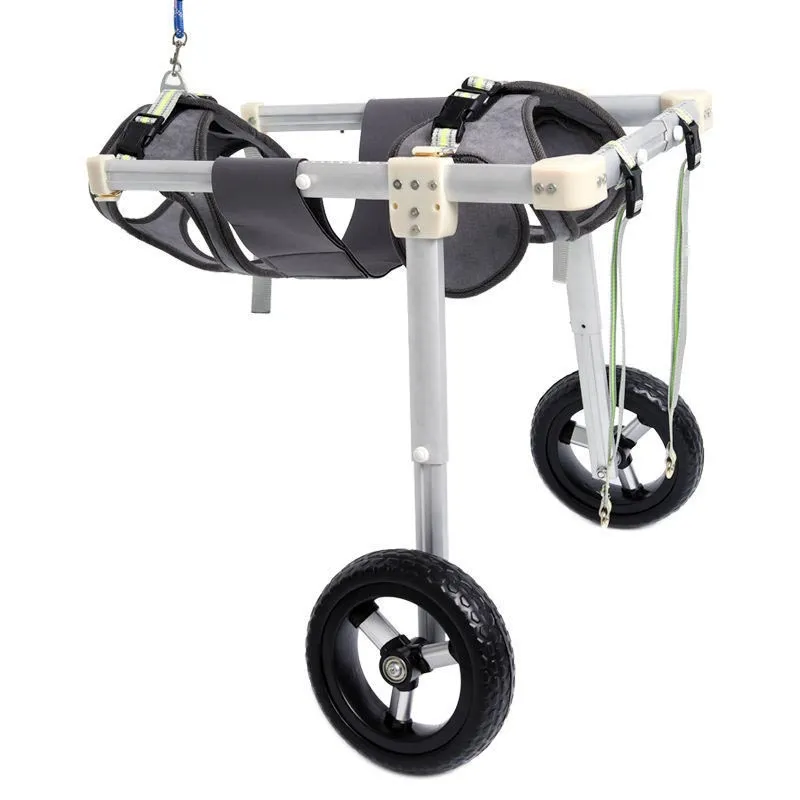 Merită un scaun cu rotile pentru animalele de companie cu handicap?